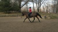 woman horseback riding